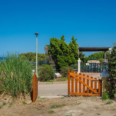 Il Nido Del Gabbiano *